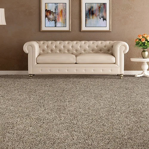 The Carpet Warehouse providing stain-resistant pet proof carpet in in Broomall, PA