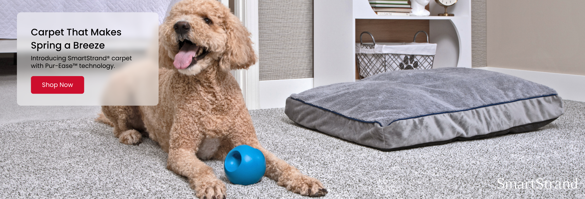 Browse Mohawk SmartStrand Carpet