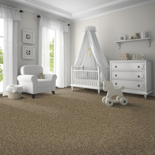 The Carpet Warehouse providing stain-resistant pet proof carpet in in Broomall, PA - Captivating Outlook - Flintstone