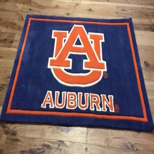 Auburn area rug available at Carpet Warehouse in Broomall, PA