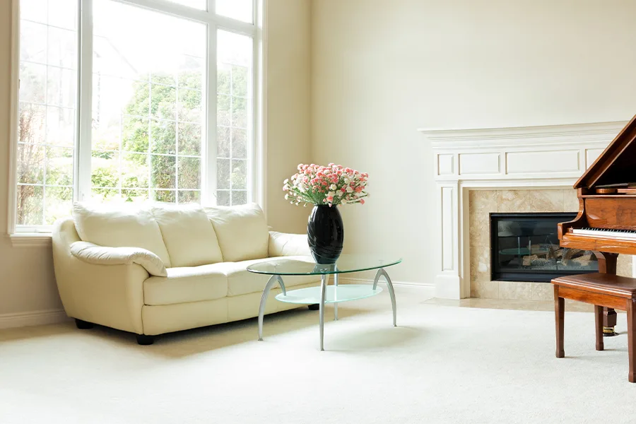 carpet flooring in bright living room